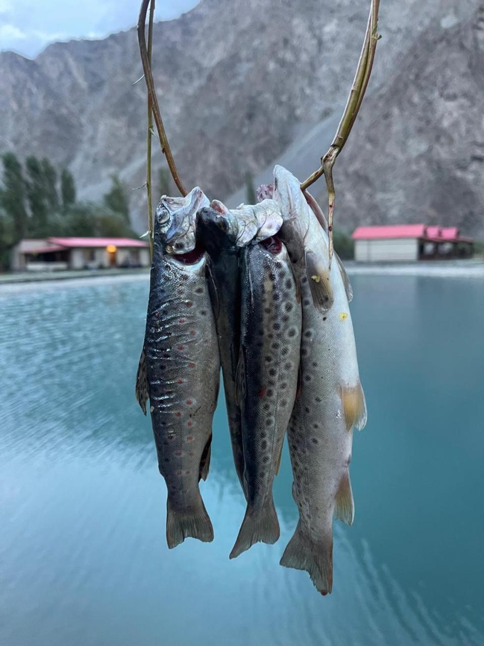 Dream Nest Resorts Skardu Luaran gambar
